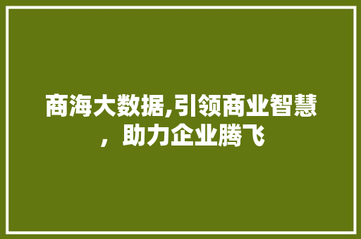 商海大数据,引领商业智慧，助力企业腾飞 百度SEO