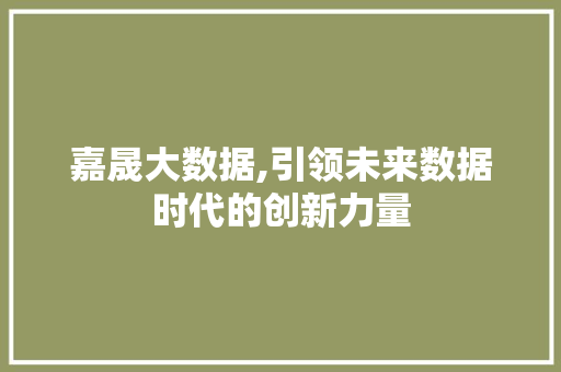 嘉晟大数据,引领未来数据时代的创新力量 GoogleSEO
