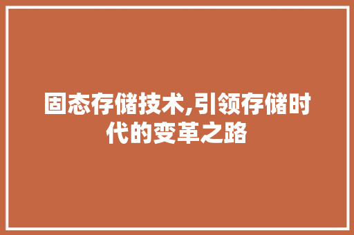 固态存储技术,引领存储时代的变革之路 必应SEO