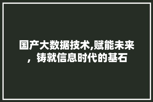 国产大数据技术,赋能未来，铸就信息时代的基石