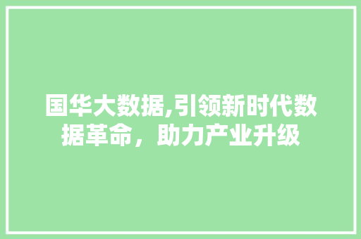 国华大数据,引领新时代数据革命，助力产业升级 必应SEO