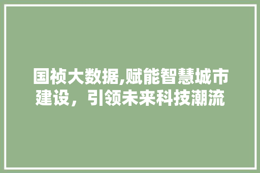 国祯大数据,赋能智慧城市建设，引领未来科技潮流 GoogleSEO