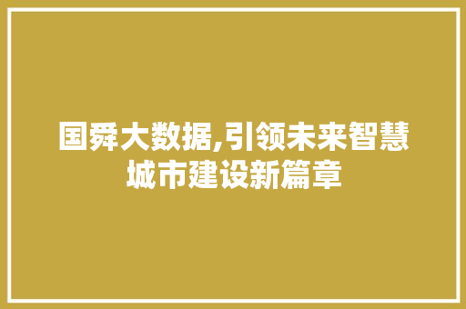 国舜大数据,引领未来智慧城市建设新篇章