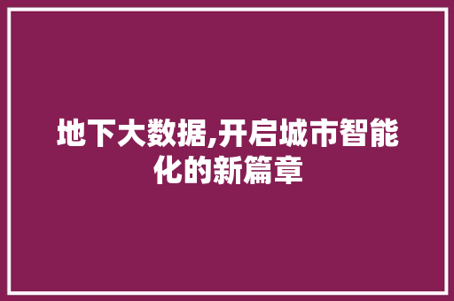地下大数据,开启城市智能化的新篇章 百度SEO