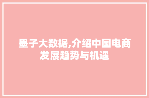 墨子大数据,介绍中国电商发展趋势与机遇 百度SEO