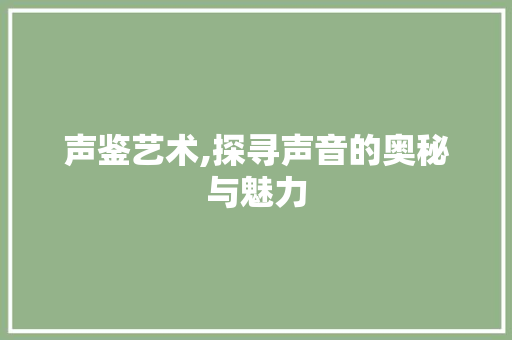 声鉴艺术,探寻声音的奥秘与魅力 搜狗SEO
