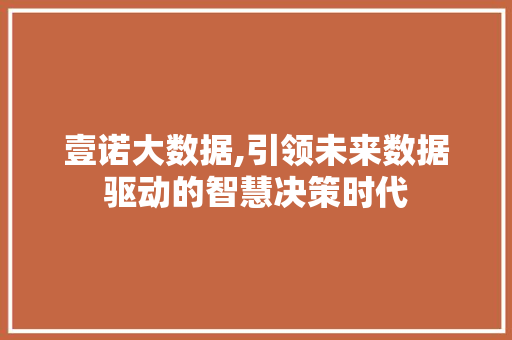 壹诺大数据,引领未来数据驱动的智慧决策时代 神马SEO