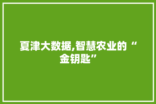 夏津大数据,智慧农业的“金钥匙”