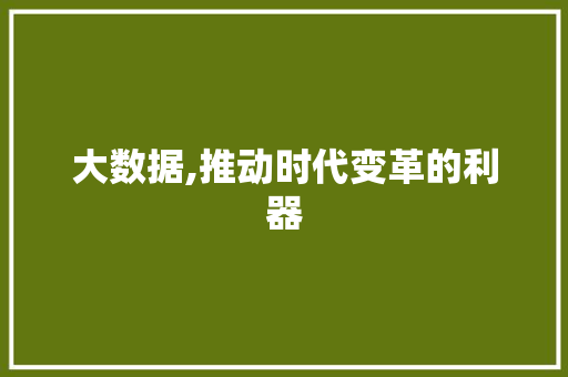 大数据,推动时代变革的利器
