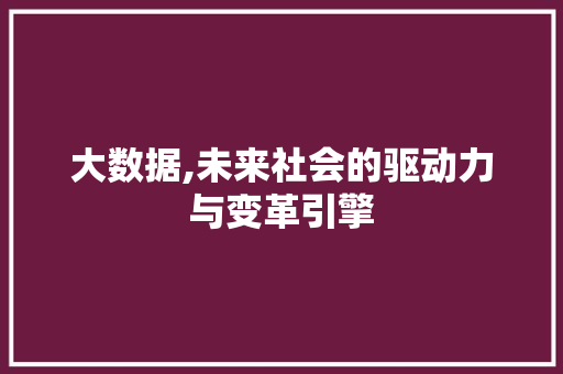 大数据,未来社会的驱动力与变革引擎
