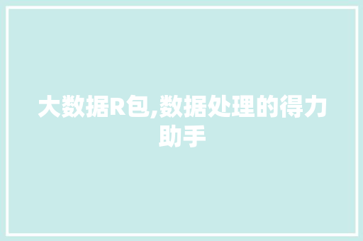 大数据R包,数据处理的得力助手 百度SEO