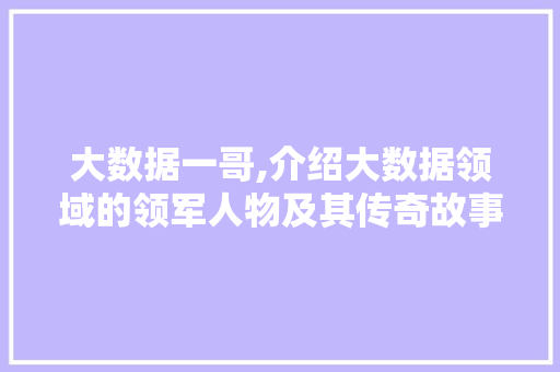 大数据一哥,介绍大数据领域的领军人物及其传奇故事 GoogleSEO