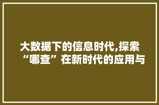 大数据下的信息时代,探索“哪查”在新时代的应用与发展