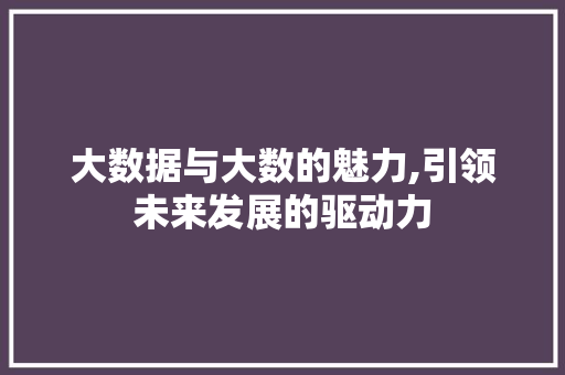 大数据与大数的魅力,引领未来发展的驱动力 百度SEO