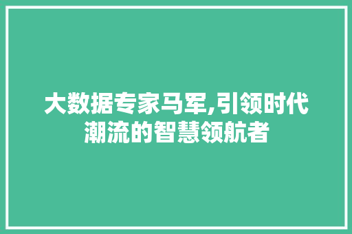 大数据专家马军,引领时代潮流的智慧领航者 大数据专家马军,引领时代潮流的智慧领航者