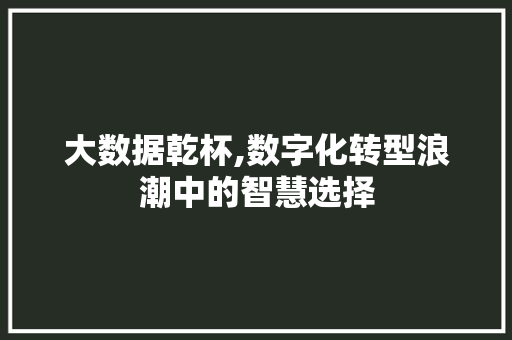 大数据乾杯,数字化转型浪潮中的智慧选择 百度SEO