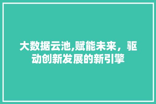 大数据云池,赋能未来，驱动创新发展的新引擎 搜狗SEO