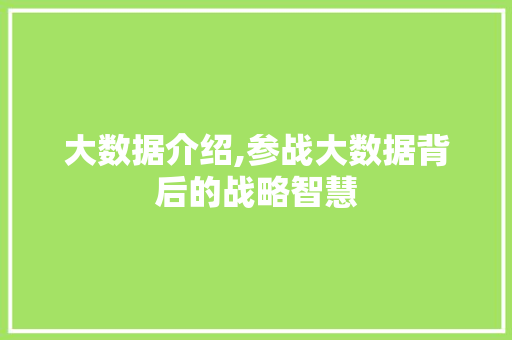 大数据介绍,参战大数据背后的战略智慧 搜狗SEO