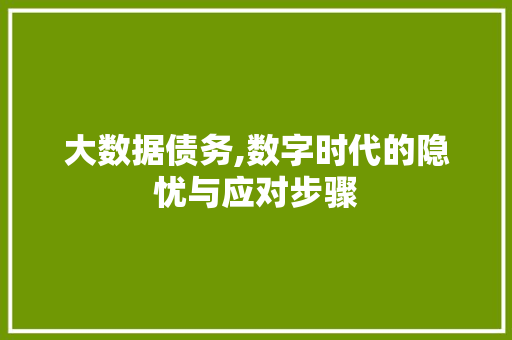 大数据债务,数字时代的隐忧与应对步骤 百度SEO