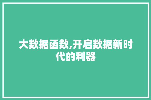 大数据函数,开启数据新时代的利器 神马SEO
