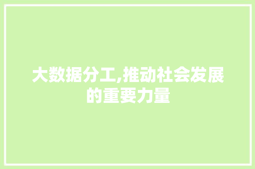 大数据分工,推动社会发展的重要力量 百度SEO