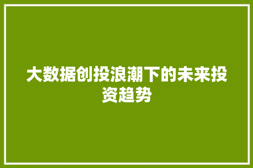 大数据创投浪潮下的未来投资趋势 神马SEO
