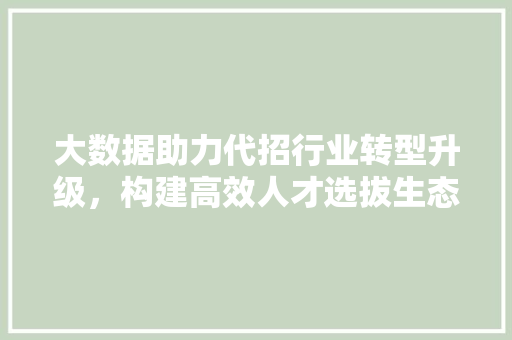 大数据助力代招行业转型升级，构建高效人才选拔生态 必应SEO