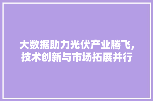 大数据助力光伏产业腾飞,技术创新与市场拓展并行