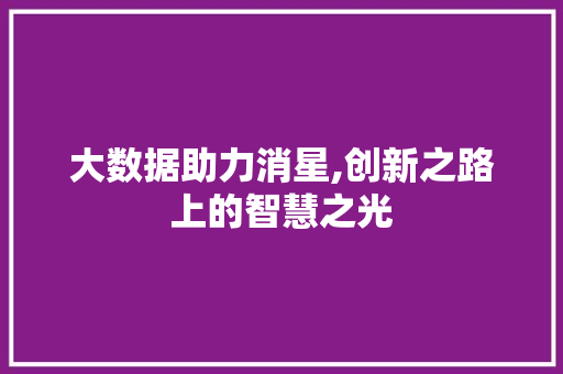 大数据助力消星,创新之路上的智慧之光