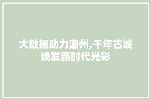 大数据助力潮州,千年古城焕发新时代光彩 神马SEO