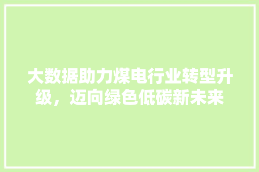 大数据助力煤电行业转型升级，迈向绿色低碳新未来 GoogleSEO