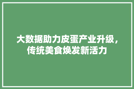 大数据助力皮蛋产业升级，传统美食焕发新活力