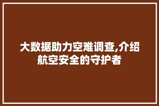 大数据助力空难调查,介绍航空安全的守护者