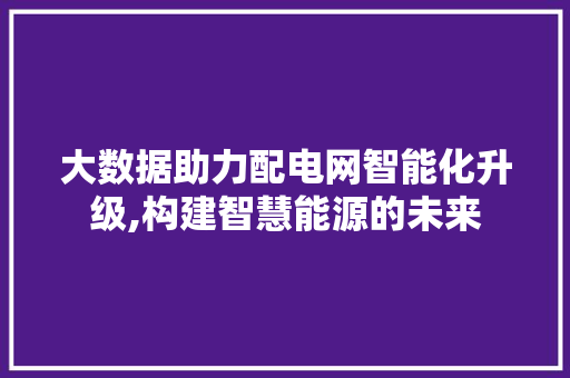 大数据助力配电网智能化升级,构建智慧能源的未来 GoogleSEO