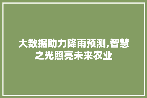 大数据助力降雨预测,智慧之光照亮未来农业 百度SEO