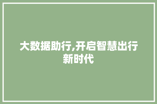 大数据助行,开启智慧出行新时代 GoogleSEO