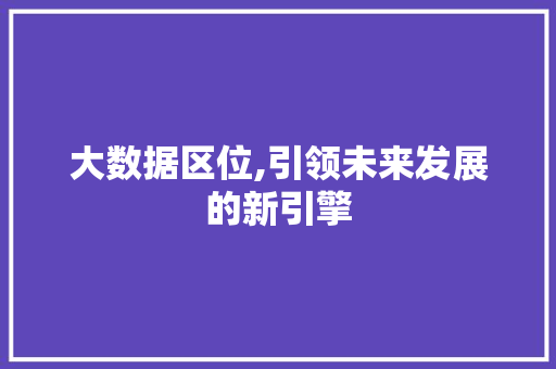 大数据区位,引领未来发展的新引擎 百度SEO