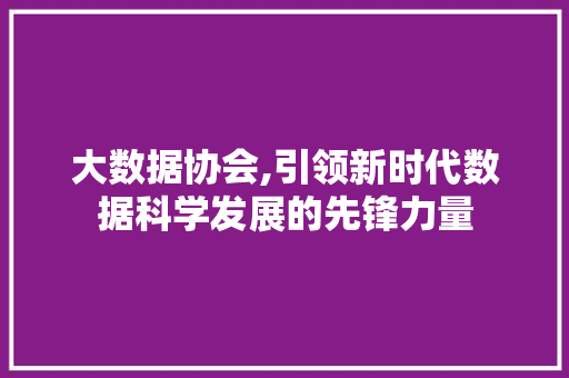 大数据协会,引领新时代数据科学发展的先锋力量 百度SEO
