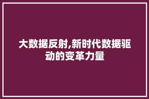 大数据反射,新时代数据驱动的变革力量 百度SEO