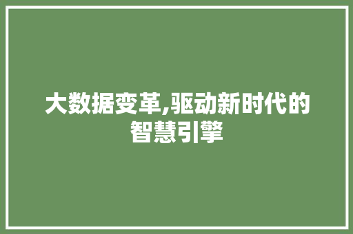 大数据变革,驱动新时代的智慧引擎 GoogleSEO