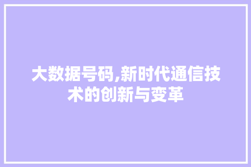 大数据号码,新时代通信技术的创新与变革 GoogleSEO