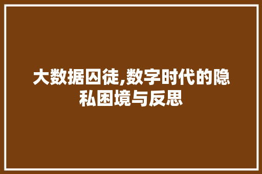 大数据囚徒,数字时代的隐私困境与反思 大数据囚徒,数字时代的隐私困境与反思