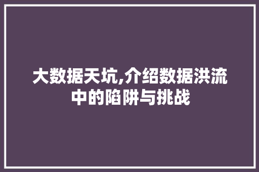 大数据天坑,介绍数据洪流中的陷阱与挑战