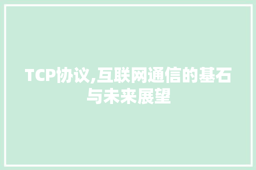 TCP协议,互联网通信的基石与未来展望