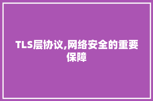 TLS层协议,网络安全的重要保障 GoogleSEO