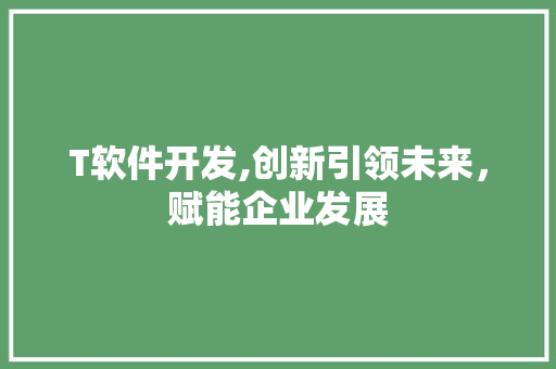 T软件开发,创新引领未来，赋能企业发展 GoogleSEO