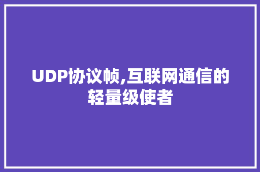 UDP协议帧,互联网通信的轻量级使者
