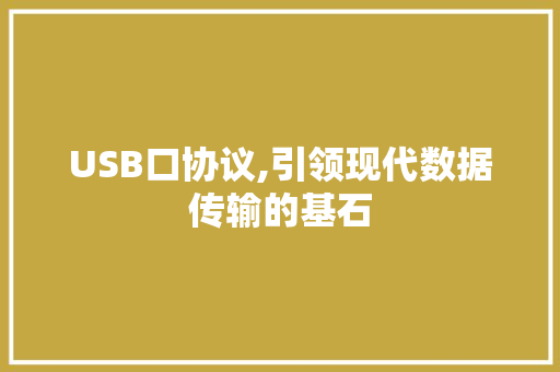 USB口协议,引领现代数据传输的基石 必应SEO