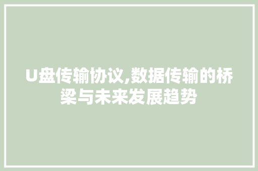U盘传输协议,数据传输的桥梁与未来发展趋势 神马SEO