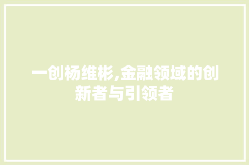 一创杨维彬,金融领域的创新者与引领者